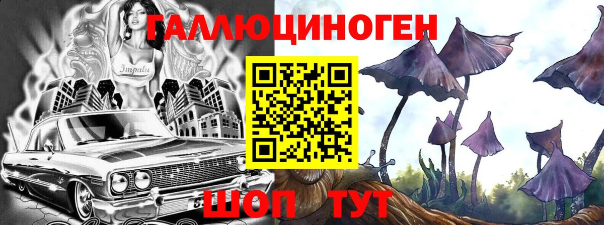 Галлюциногенные грибы прущие грибы Осинники