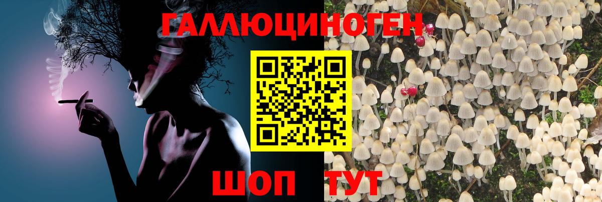 Осинники  Галлюциногенные грибы мухоморы  Вход с VPN  купить наркотик  Галлюциногенные грибы мицелий 