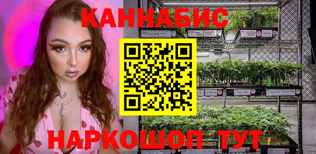 Осинники  Бошки Шишки индика  Вход с VPN  Бошки марихуана индика  Канабис THC 21% 